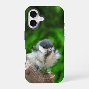 Funda Para iPhone 16 Tidi mi pájaro el Parus Major