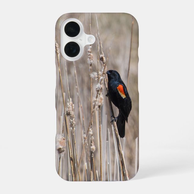 Funda Para iPhone 16 Tordo sargento (Reverso )