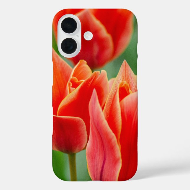 Funda para iPhone 16 Tulipanes Naranja Rojo (Reverso )