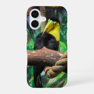 Funda Para iPhone 16 un hermoso tucán negro y amarillo