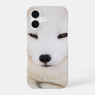 Funda Para iPhone 16 Zorro ártico blanco
