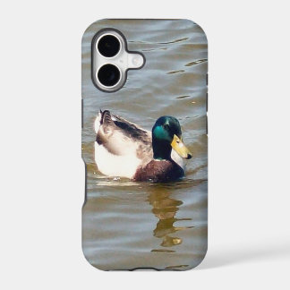 Funda para iPhone 5/5S con pato silbón apenas visi