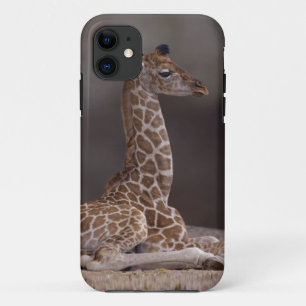 Funda para iPhone 5 Case-Mate de Jirafa Bebé
