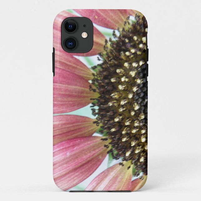 Funda para iPhone 5 de girasol rosa (Reverso)