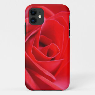 Funda para iPhone 5 Rosa Roja Rosas Fundas para iP