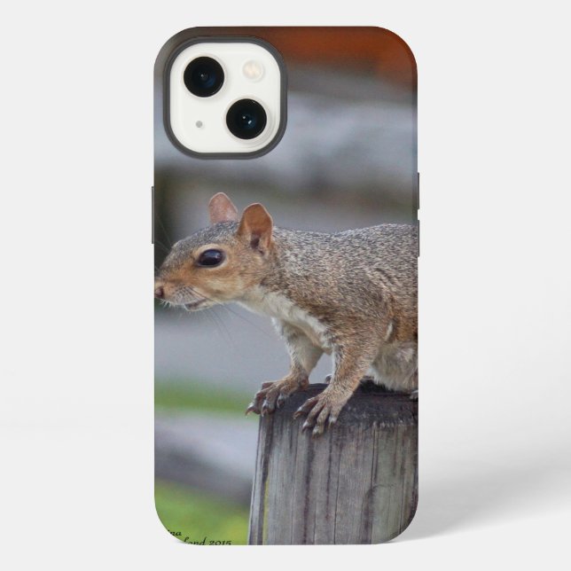 Funda para iPhone 6 de ardilla Cute (Reverso )