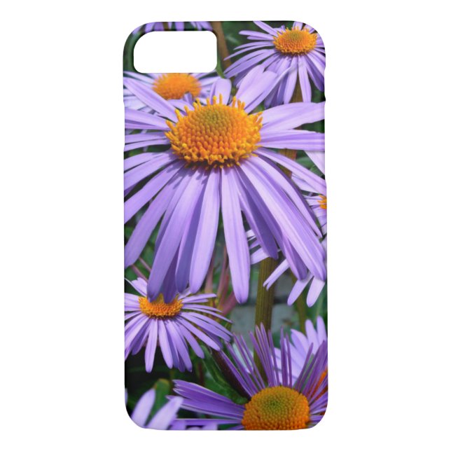 Funda para iPhone 7 de Purple Asters (Reverso)