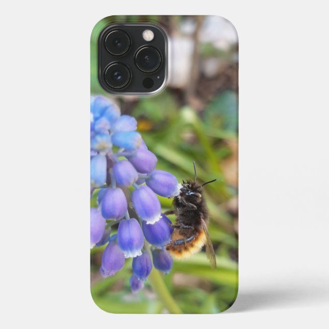Funda Para iPhone Abeja en Muscari Armeniacum , Hiacinato de uva (Reverso )