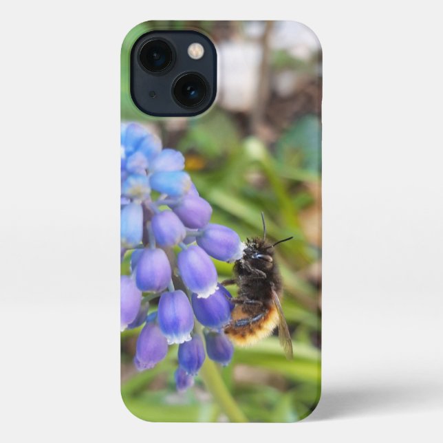 Funda Para iPhone Abeja en Muscari Armeniacum , Hiacinato de uva (Reverso )