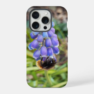 Abeja en Muscari Armeniacum , Hiacinato de uva