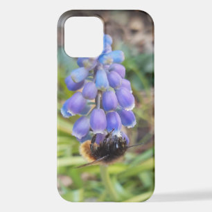 Funda Para iPhone 12 Abeja en Muscari Armeniacum , Hiacinato de uva
