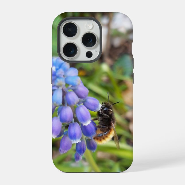 Funda Para iPhone Abeja en Muscari Armeniacum , Hiacinato de uva (Reverso )