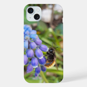 Abeja en Muscari Armeniacum , Hiacinato de uva