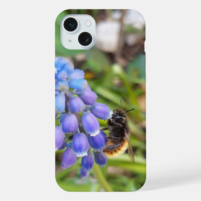 Funda Para iPhone Abeja en Muscari Armeniacum , Hiacinato de uva (Reverso )