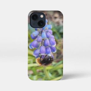 Funda Para iPhone 13 Mini Abeja en Muscari Armeniacum , Hiacinato de uva