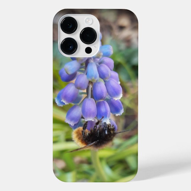 Funda Para iPhone Abeja en Muscari Armeniacum , Hiacinato de uva (Reverso)