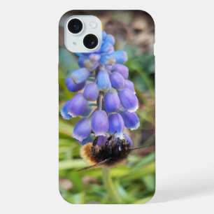 Abeja en Muscari Armeniacum, Jacinto de Uva