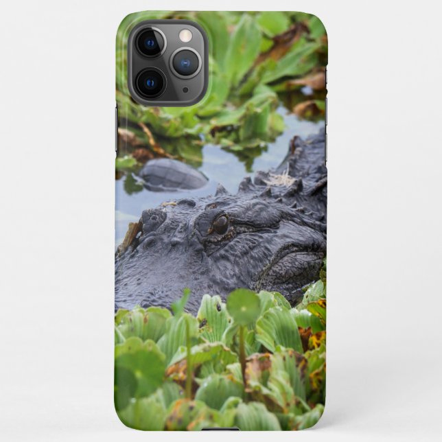 Funda Para iPhone Alligador americano entre las plantas - Vibrante (Reverso)