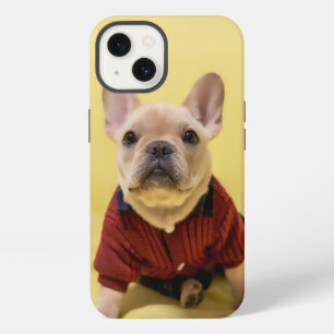 Animales bebés más lindos Bulldog Francés vestid