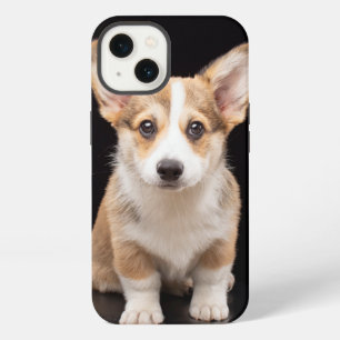 Animales Bebés más Lindos Cachorro Corgi de Pie