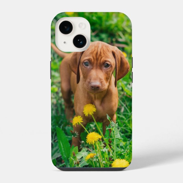 Funda Para iPhone Animales Bebés más Lindos | Cachorro Pointer (Reverso )