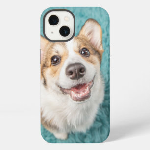 Animales Bebés más Lindos Cachorro Sonriente de