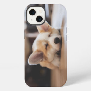 Animales Bebés más Lindos Corgi Dormilón
