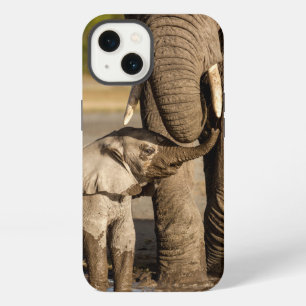 Animales Bebés más Lindos Elefante Bebé y Mamá