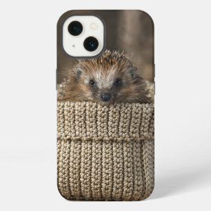 Animales Bebés más Lindos Erizo en una Cesta