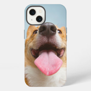 Animales Bebés más Lindos Lengua de Corgi