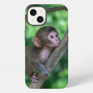 Animales Bebés más Lindos Mono Bebé