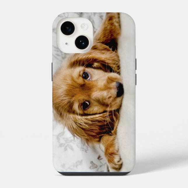 Funda Para iPhone Animales de bebé más afectados | Cocker Spaniel Pu (Reverso )