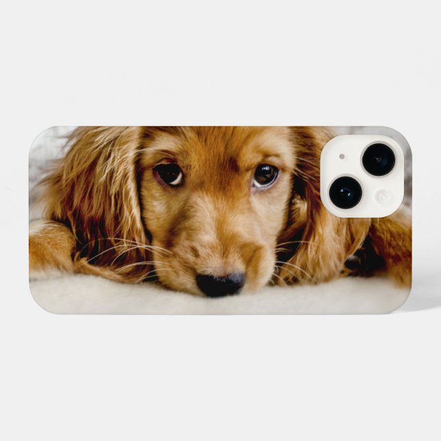 Funda Para iPhone Animales de bebé más afectados | Cocker Spaniel Pu (Reverso Horizontal)
