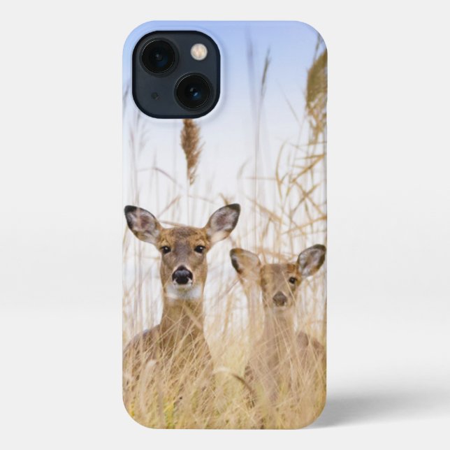 Funda Para iPhone Animales de bebé más afectados | Dos jóvenes venad (Reverso )