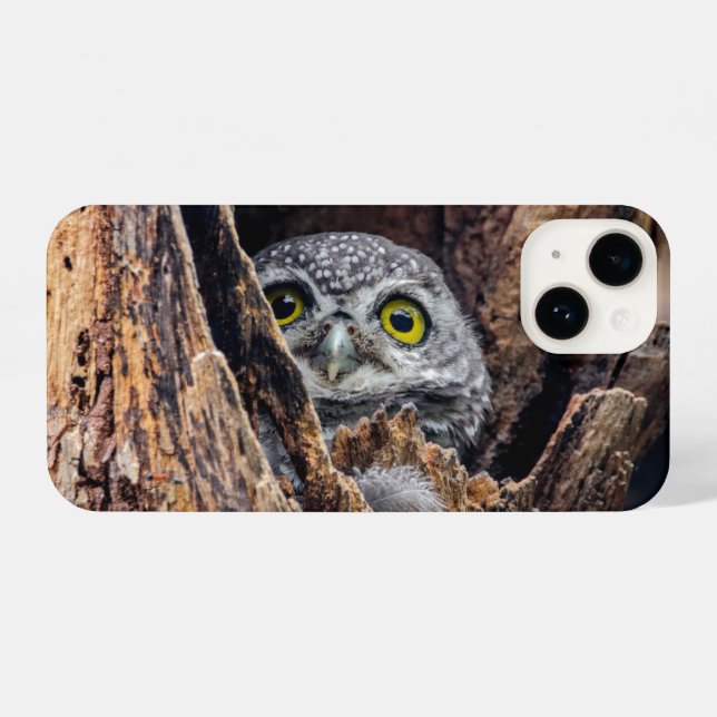 Funda Para iPhone Animales de bebé más afectados | Lechuza vista (Reverso Horizontal)
