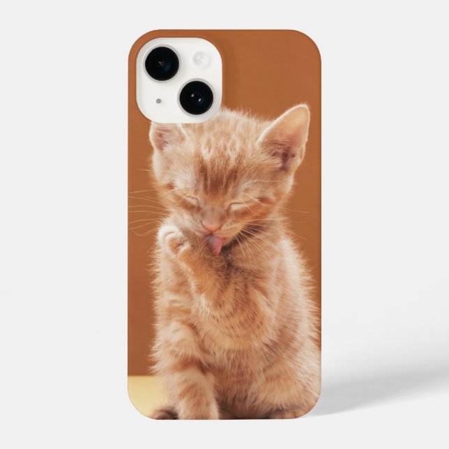 Funda Para iPhone Animales de bebé más afectados | Naranja Tabby Kit (Reverso )