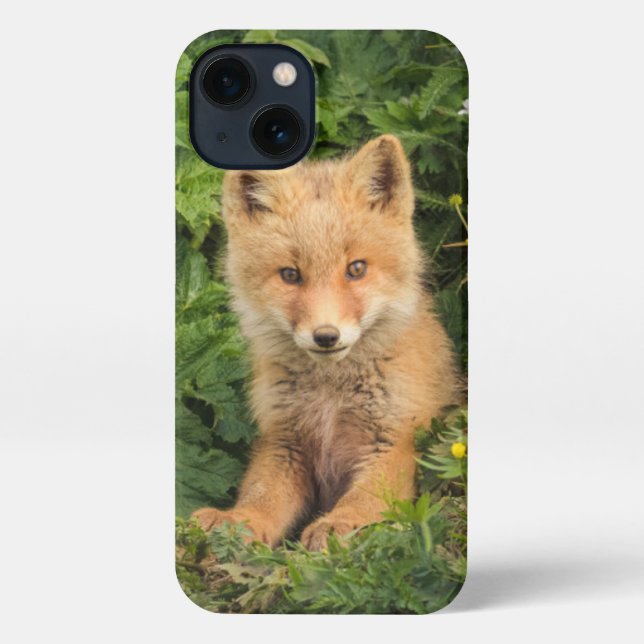 Funda Para iPhone Animales de bebé más afectados | Red Fox en Umnak  (Reverso )