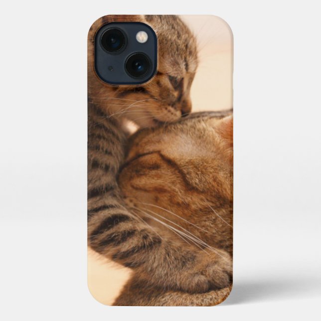 Funda Para iPhone Animales de bebé más afectados | Tabby Kitten Kiss (Reverso )