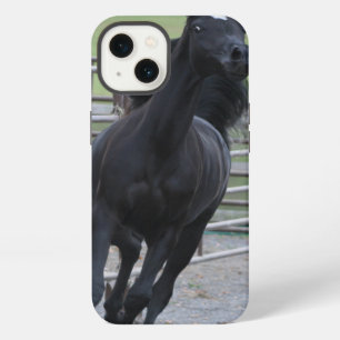 Árabe negro Prancing