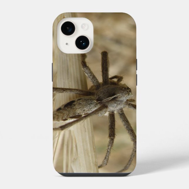 Funda Para iPhone Araña crujiente (Reverso )