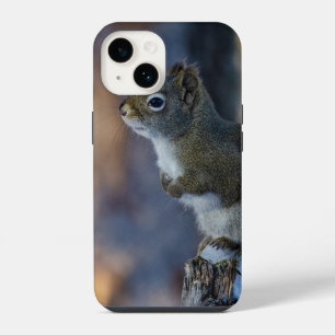 Funda Para iPhone 14 ardilla de invierno, animal marrón, fotografía can