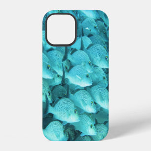 Funda Para iPhone 12 Arrecife de coral de pescado tropical, vida marina