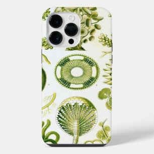 Funda Para iPhone 14 Pro Max Arte Antiguo Haeckel