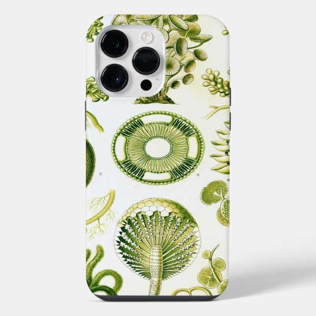 Funda Para iPhone Arte Antiguo Haeckel (Reverso )