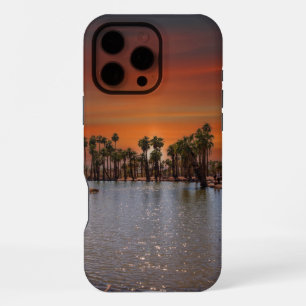 Funda Para iPhone 16 Pro Max Atardecer en el estuche Papago Park IPhone