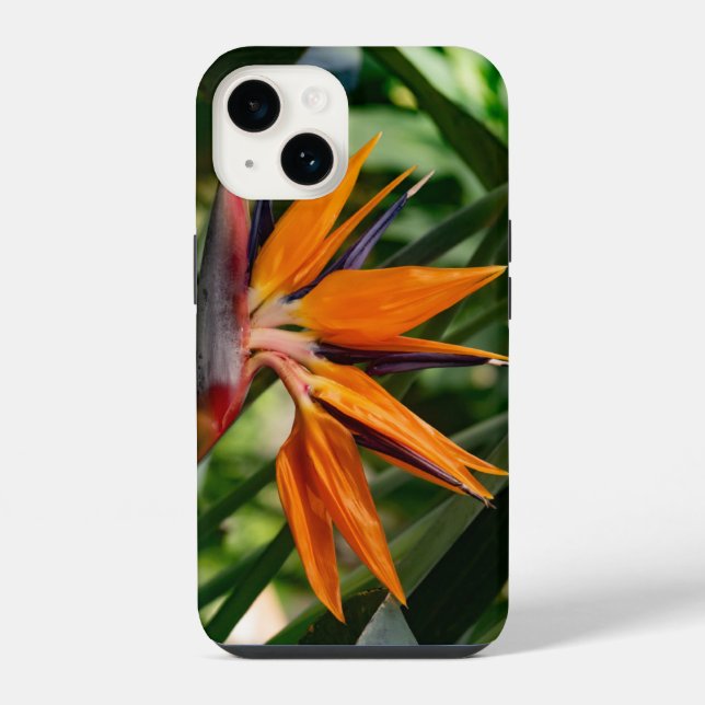 Funda Para iPhone Ave de la flor del paraíso. (Reverso )