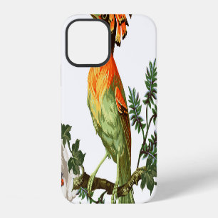 Funda Para iPhone 12 Aves paraísas: fondo floral exótico