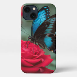 Beautiful Butterfly Red Rose -