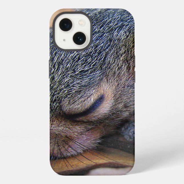 Funda Para iPhone Bebé Ardilla Durmiendo (Reverso )