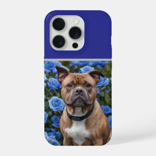 "Belleza audaz: un Staffy marrón en un jardín de r